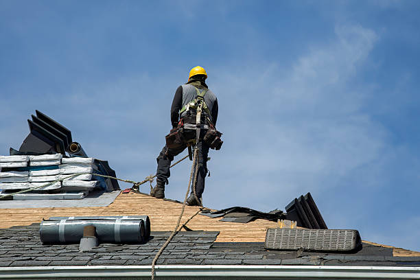 Professional Storm Damage Roof Repair technician working in Chester, IL